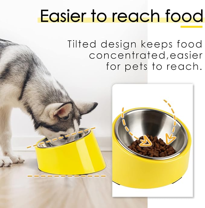 Comedero Ergonómico con Inclinación Avanzada y Plato de Acero Inoxidable