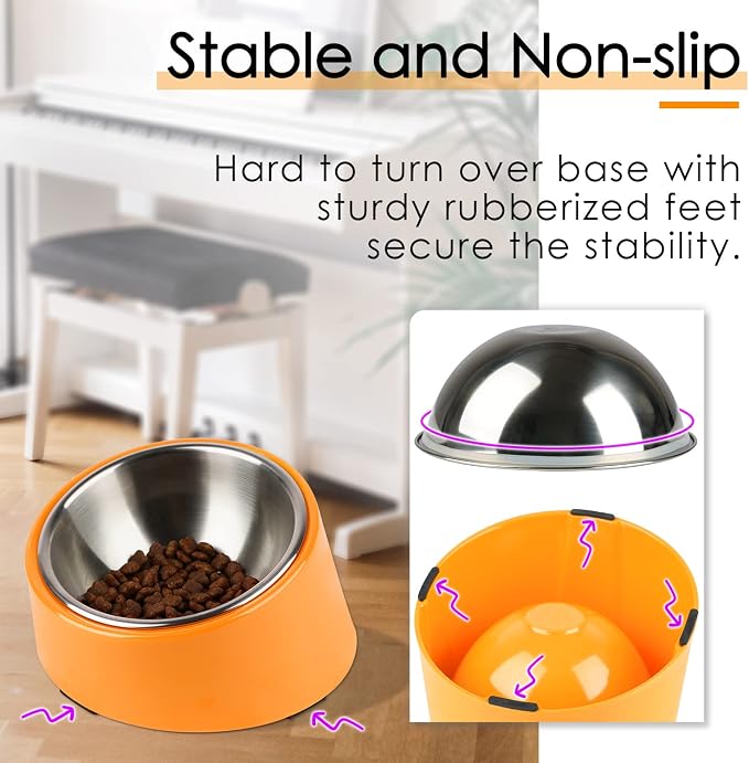 Comedero Ergonómico con Inclinación Avanzada y Plato de Acero Inoxidable