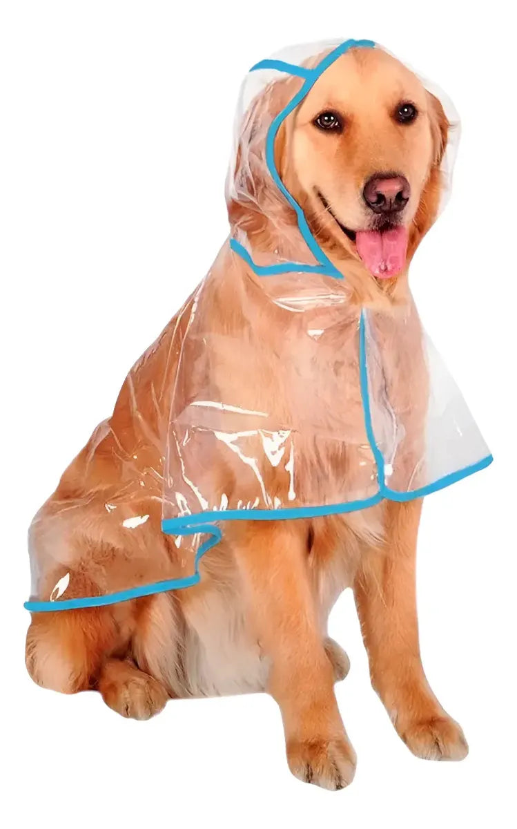 Impermeable Transparente de Cobertura Completa