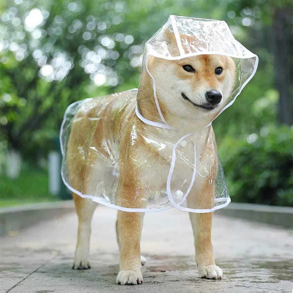 Impermeable Transparente de Cobertura Completa