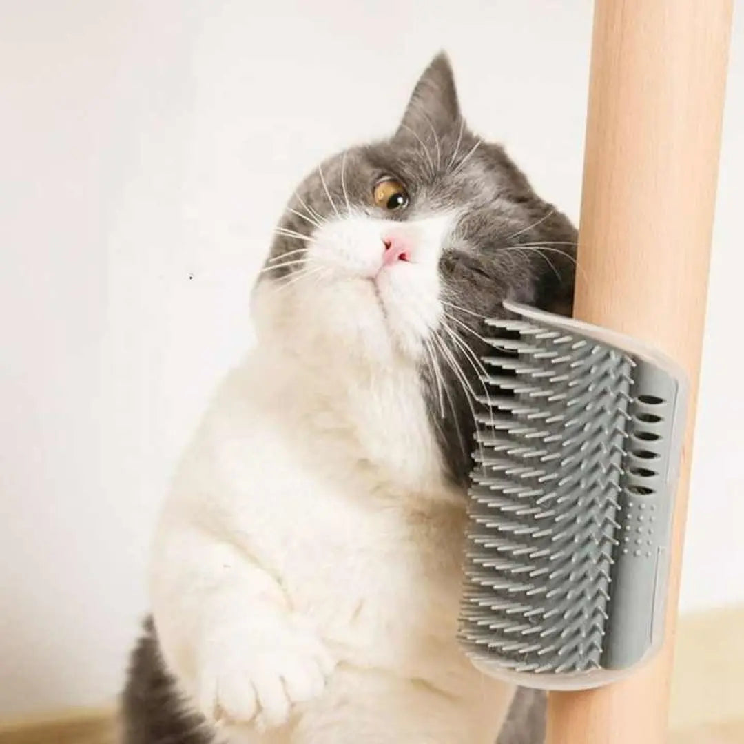 Rascador Esquinero Masajeador y Cepillo Autoasicalador con Compartimiento de Catnip