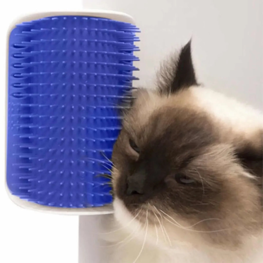 Rascador Esquinero Masajeador y Cepillo Autoasicalador con Compartimiento de Catnip