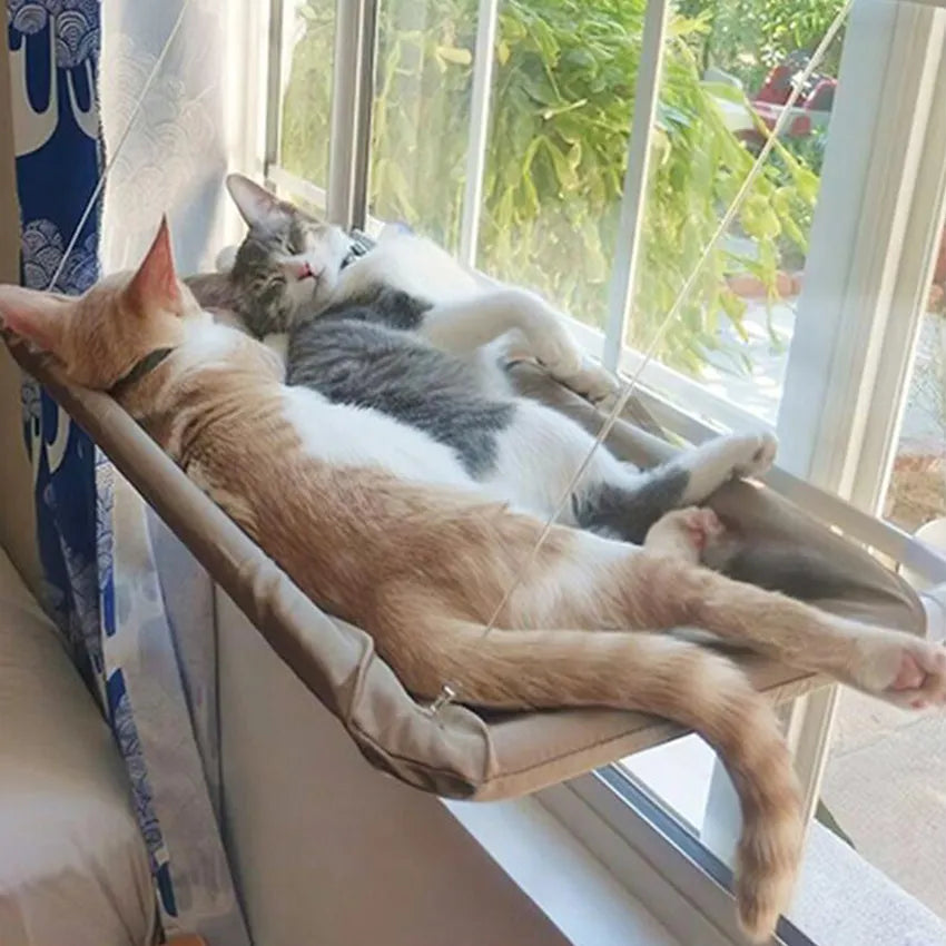 Hamaca Colgante de Ventana para Gatos