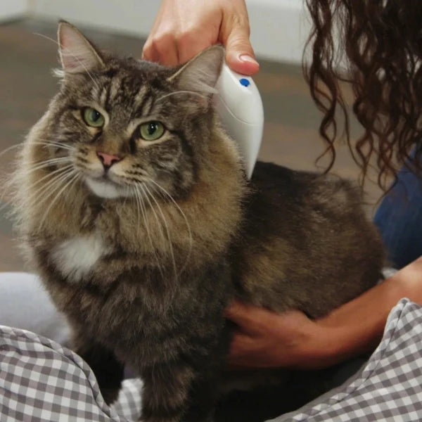 Peine Eléctrico Removedor de Pulgas y Parásitos para Mascotas