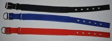 Collar de Reata Reforzada de Alta Resistencia con Doble Hilera de Ojales