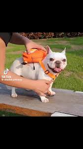 Arnés de Pecho Ergonómico con Mochila de Aventura Integrada