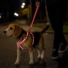 Arnés de Pecho Ergonómico con Iluminación LED de Alta Visibilidad para Paseos Nocturnos