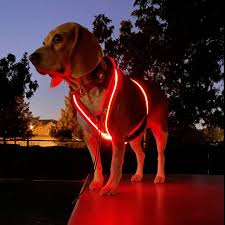 Arnés de Pecho Ergonómico con Iluminación LED de Alta Visibilidad para Paseos Nocturnos