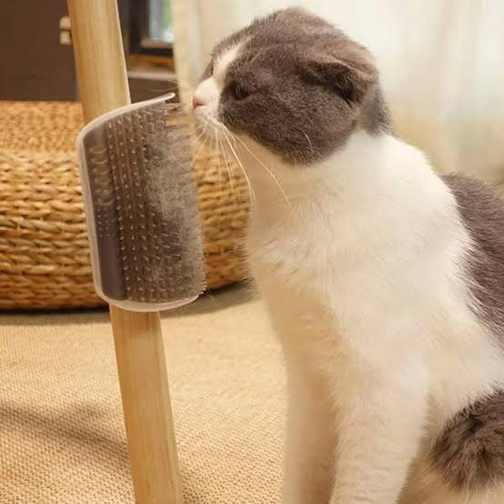 Rascador Esquinero Masajeador y Cepillo Autoasicalador con Compartimiento de Catnip