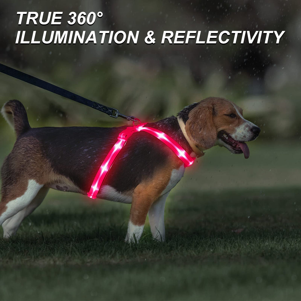 Arnés de Pecho Ergonómico con Iluminación LED de Alta Visibilidad para Paseos Nocturnos