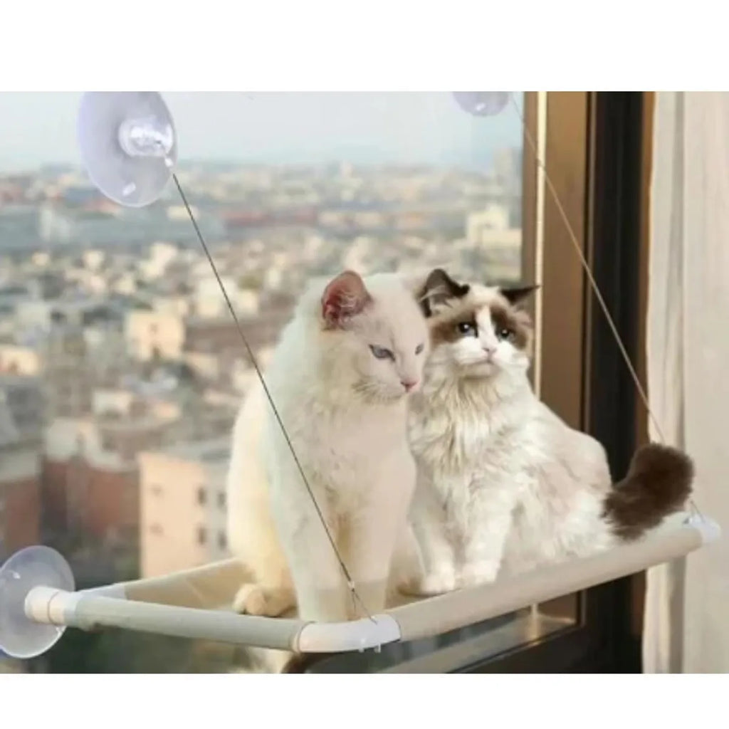 Hamaca Colgante de Ventana para Gatos
